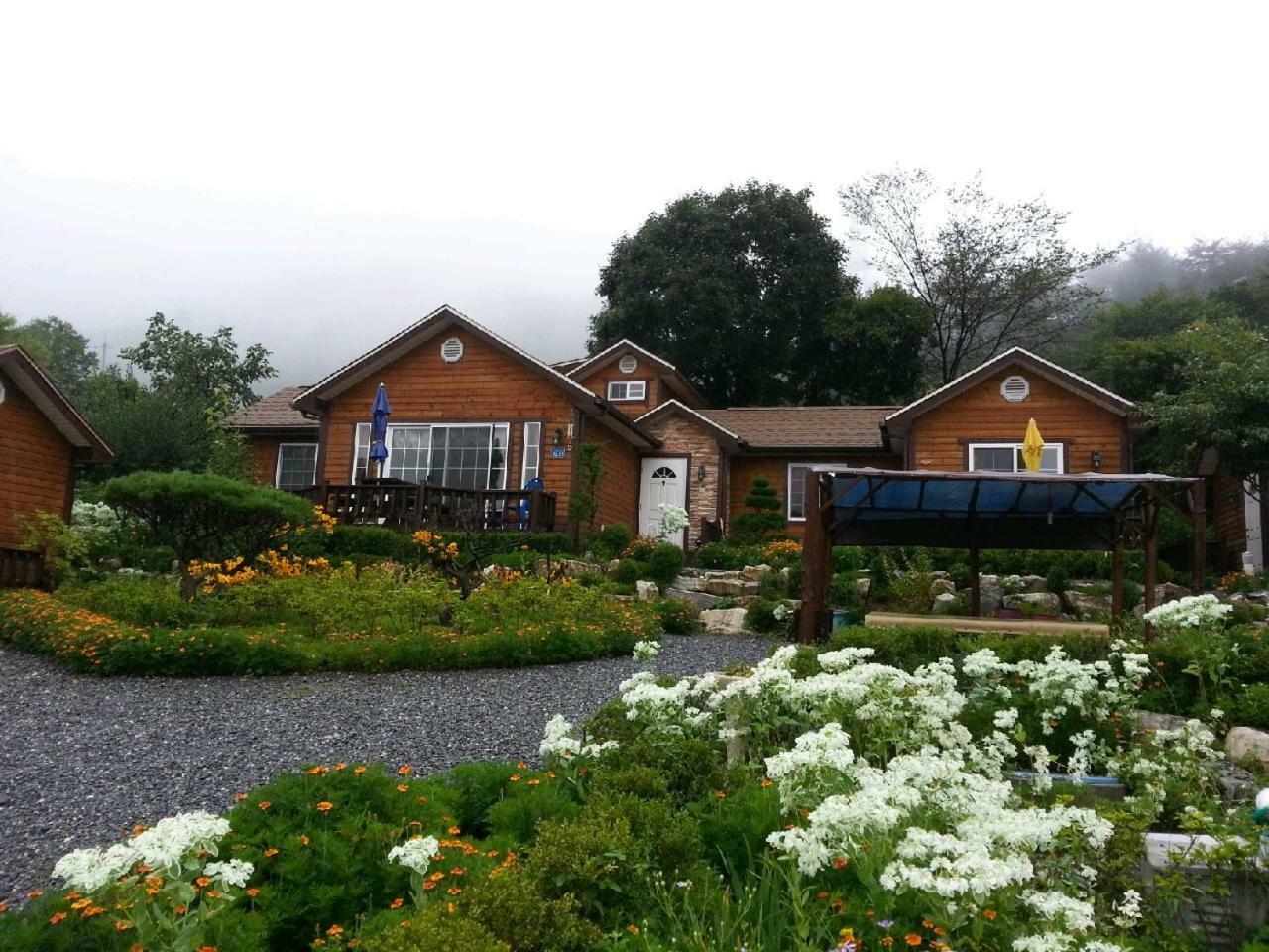Oraview Jeongseon