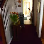 Comfy Wee House