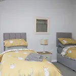 Owl View