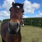 Llangwyryfon Country Breaks