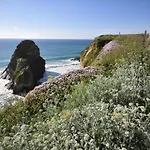 Surf View Apartment, Newquay