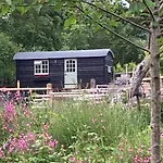 Willow Brook Shepherd Hut