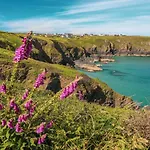 Cosy Shepherds Hut Nr Kynance Cove