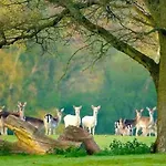 New Forest Retreat Shorefield Country Park