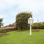 The Doves