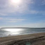 Sea Horses