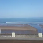 The Coast