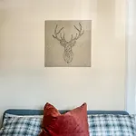 Charlotte'S Apartment D