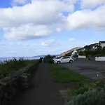 Trewebster