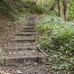 Rosedale