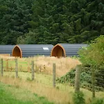 Braeview Glamping