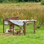 Finest Retreats - Ash Lotus Belle Tent
