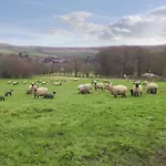The Old Dairy