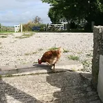 Beautiful Cosy Cabin - Rural Getaway Near Newlyn