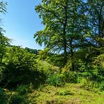 Red Deer Cottage
