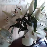 Beechlands B & B