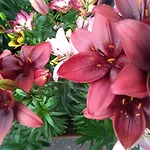 Beechlands B & B