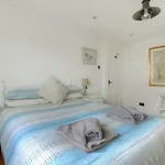 Dolphins Leap