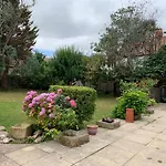 Tan Y Coed
