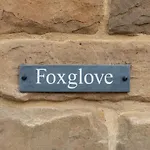Foxglove