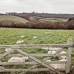 Stunning Shepherd'S Hut Retreat North Devon