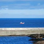 Farne Lookout
