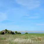 Kittiwake Cottage, Budle Bay