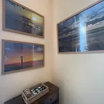 Sun Shack