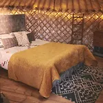 Elf Yurt - Yurtopia