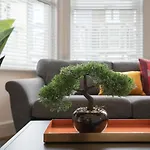 Luxurious And Spacious Central Apartment