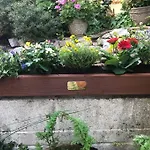 Bumble Bee Cottage