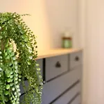 Xxbrand Newxx Sleeps 8, Stylish Japandi House