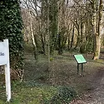 Mabel Lodge