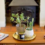Coney Cottage
