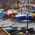 Harbour View