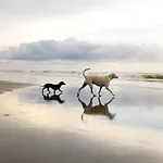 Coral Shores