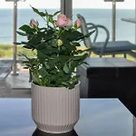 Soho Beach Apartment With Fabulous Sea View And 2 Minutes To The Beach With Free Parking And Netflix