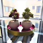 Flash Sale Brighton City Centre Seafront 1 Bedroom Flat Bn1Gre09