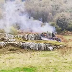 Cozy Cottage - Near Brew Pub / Snowdonia National Park.