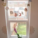 Sara'S Apartment