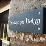 Rb Contractor Stays - Helyg