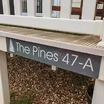 Evergreen Pines