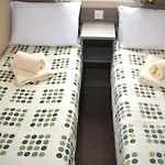 Sab - Soleil Bronze Lc18 Pet Friendly