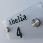 Abelia