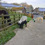 Fentrigan Manor Farm & Holiday Cottages