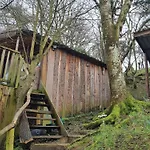 Tree House