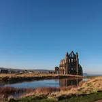 Whitby Waves