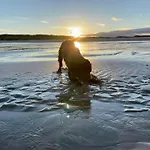 Eagle 4A, Scratby - California Cliffs, Parkdean, Sleeps 8, Bed Linen And Towels Included, Pet Friendly And Close To The Beach