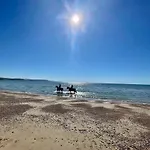 Seashells - Seaside Cottage 100M From Beach