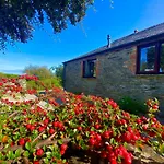 Polrunny Farm Elderberry Cottage With Sea View